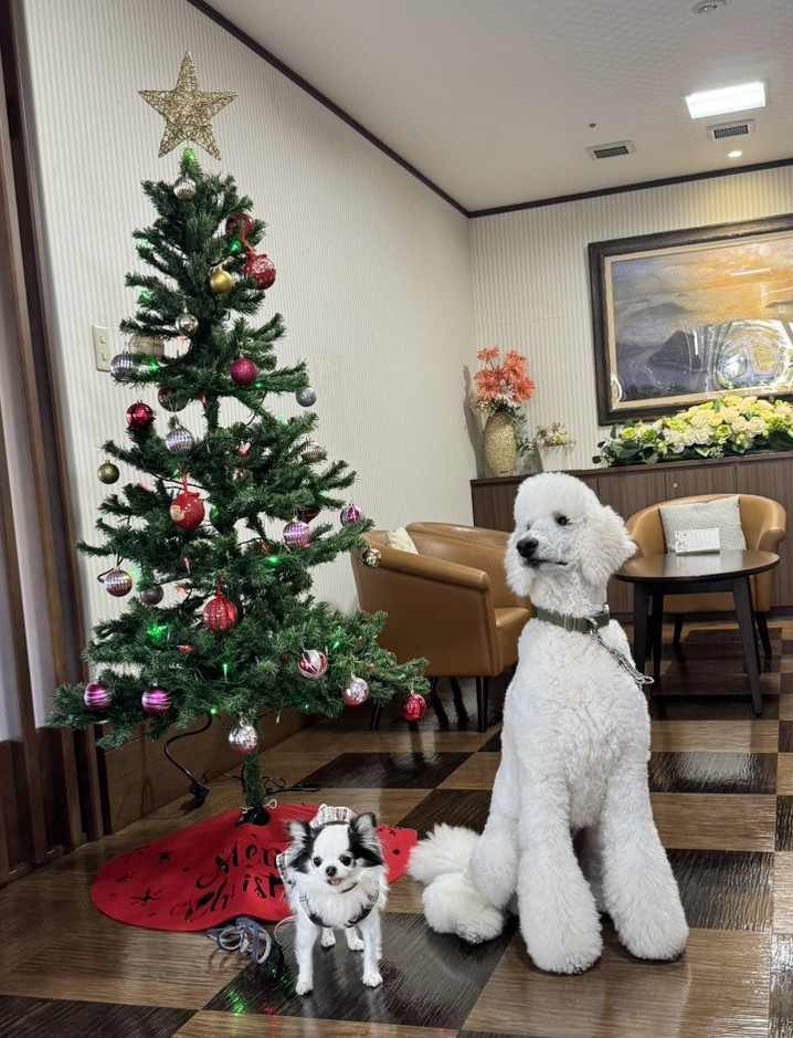 12月10日　宝樹リノ様対面交流会