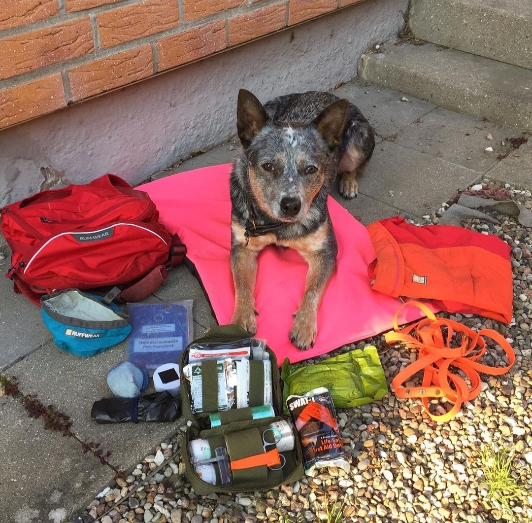 Sierras Gear List - Hiking