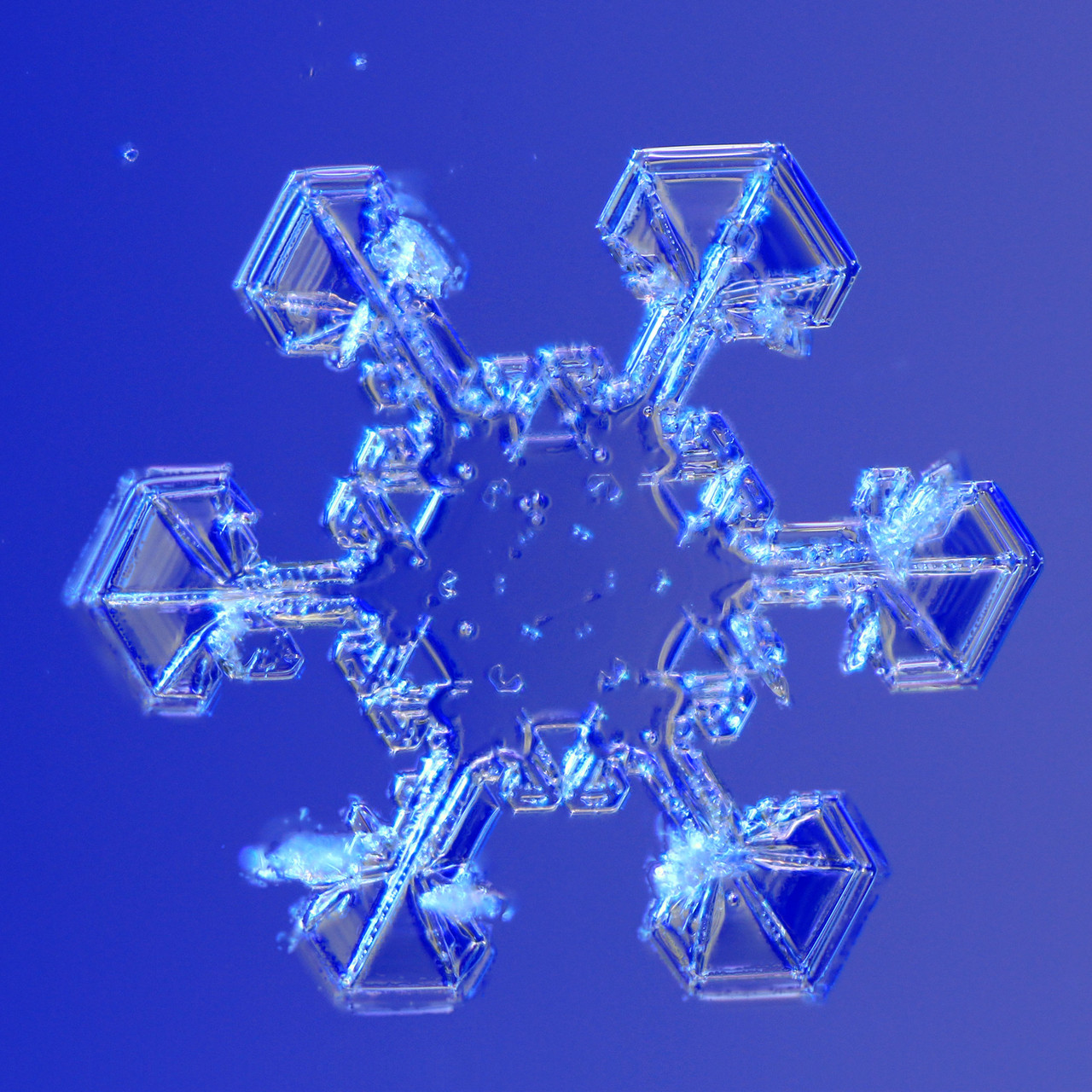雪の結晶写真 牟田淳研究室 東京工芸大学芸術学部 雪の結晶写真 牟田淳研究室 東京工芸大学芸術学部