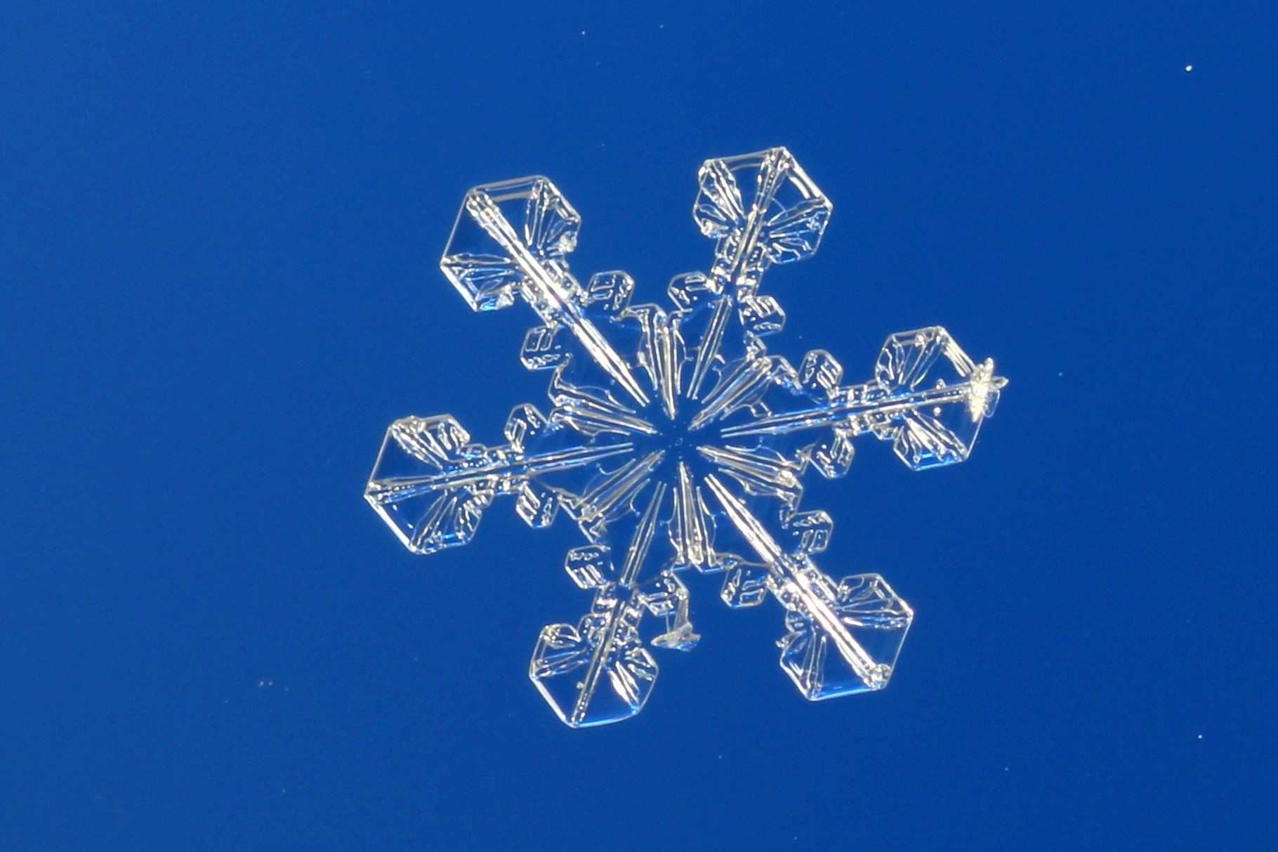 雪の結晶写真 牟田淳研究室 東京工芸大学芸術学部 雪の結晶写真 牟田淳研究室 東京工芸大学芸術学部