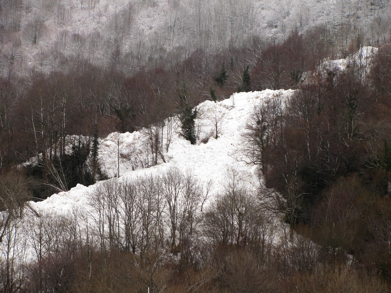 Grosse avalanche à Pragnères, en aval du hameau de Trimbareilles. © C-PRIM 2013