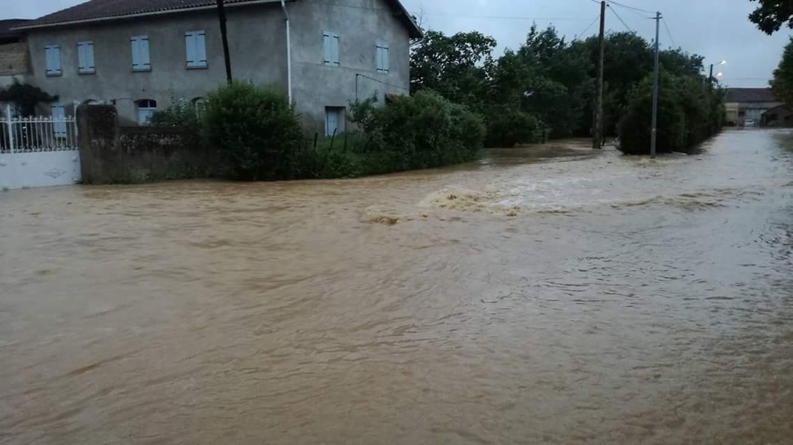 Un peu plus en aval à Larreule, le paysage reste le même. © Amandine Clavel Totaro 