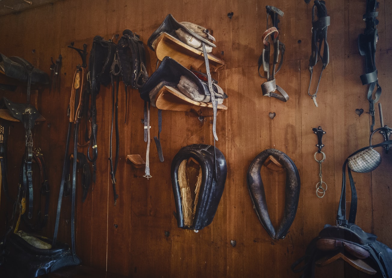 GUIDE COMPLET DE L'ENTRETIEN DU CUIR