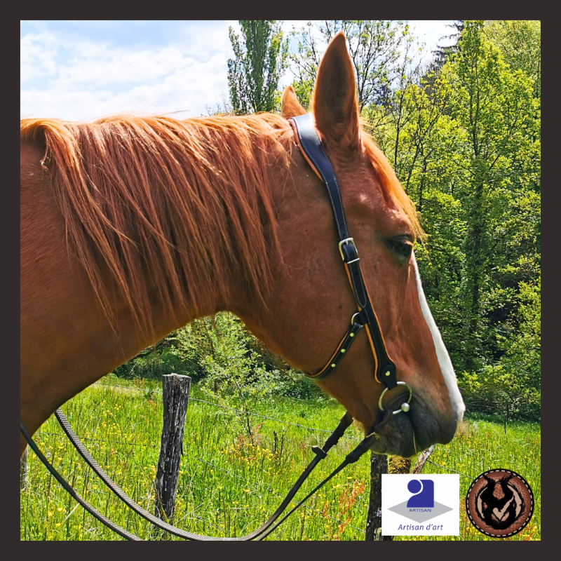 BRIDON FILET WESTERN RANDONNEE CHEVAL CUIR ARTISANAL