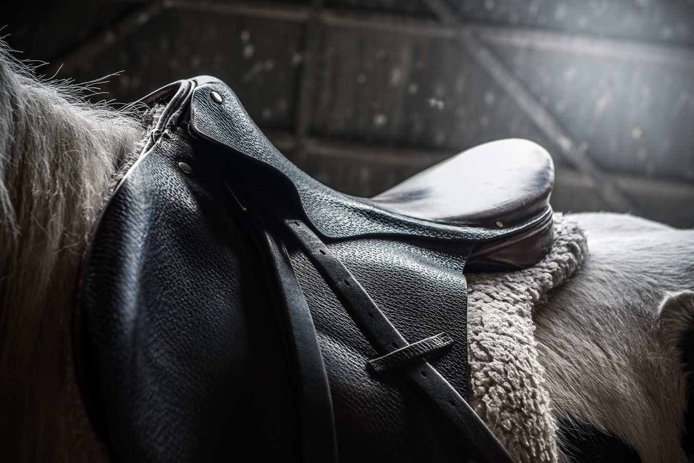 Réparer et modifier une selle d'équitation