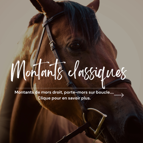 FILET CUIR SELLERIE CHEVAL