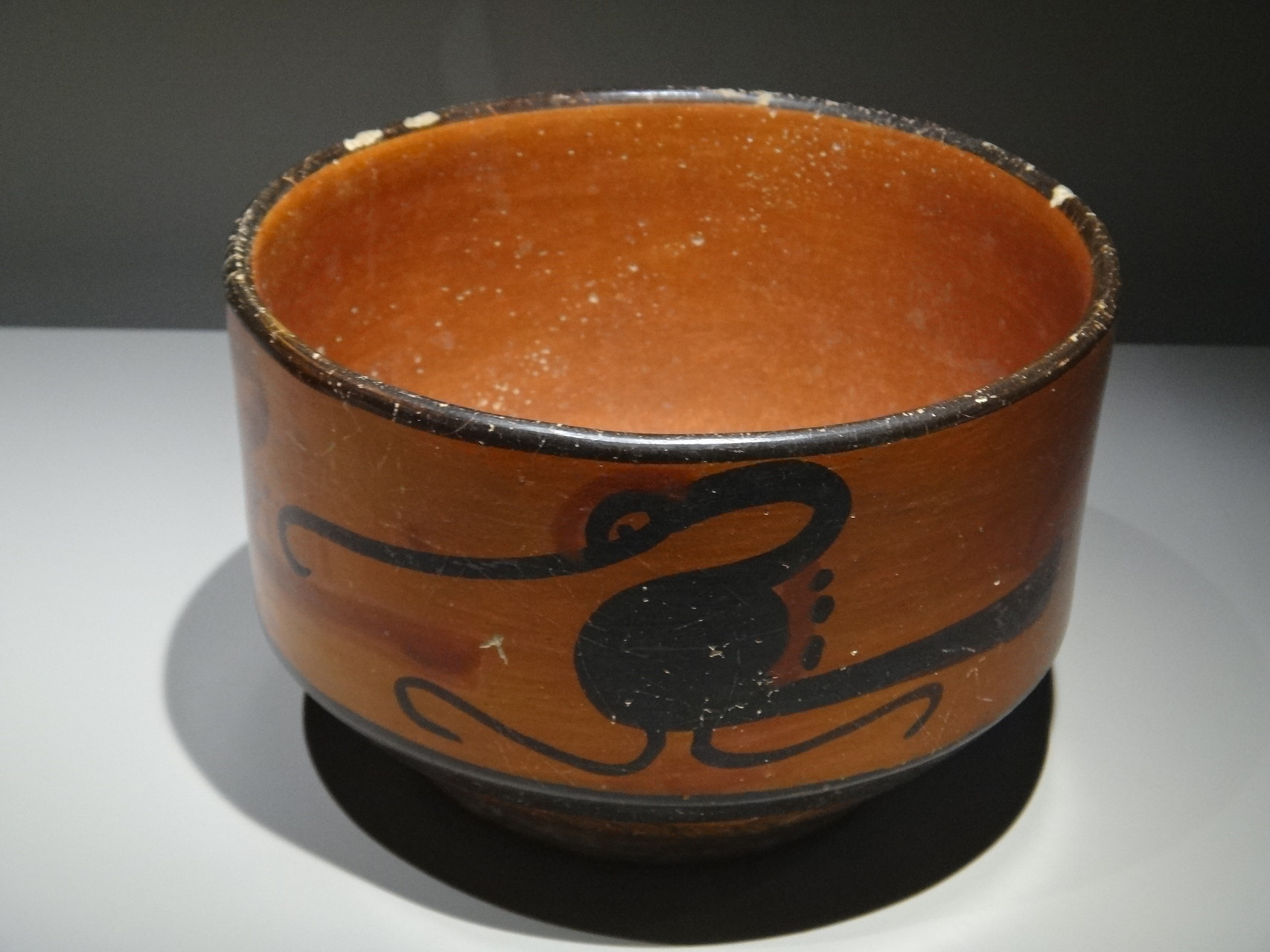 Vase polychrome, Yucatan, Mexique, 600-900 (céramique). Orné d'un cormoran, associé par les Mayas aux eaux de l'inframonde où disparaît le soleil.