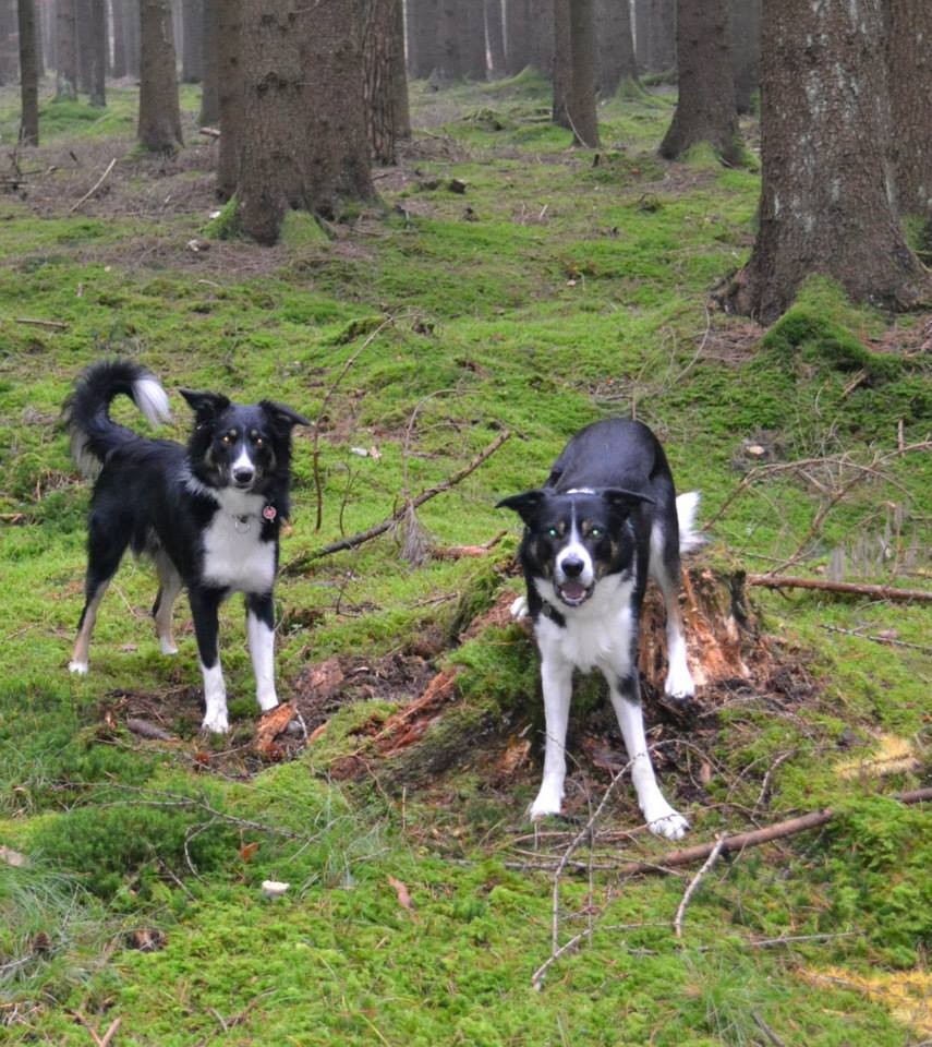 Brax und Lu
