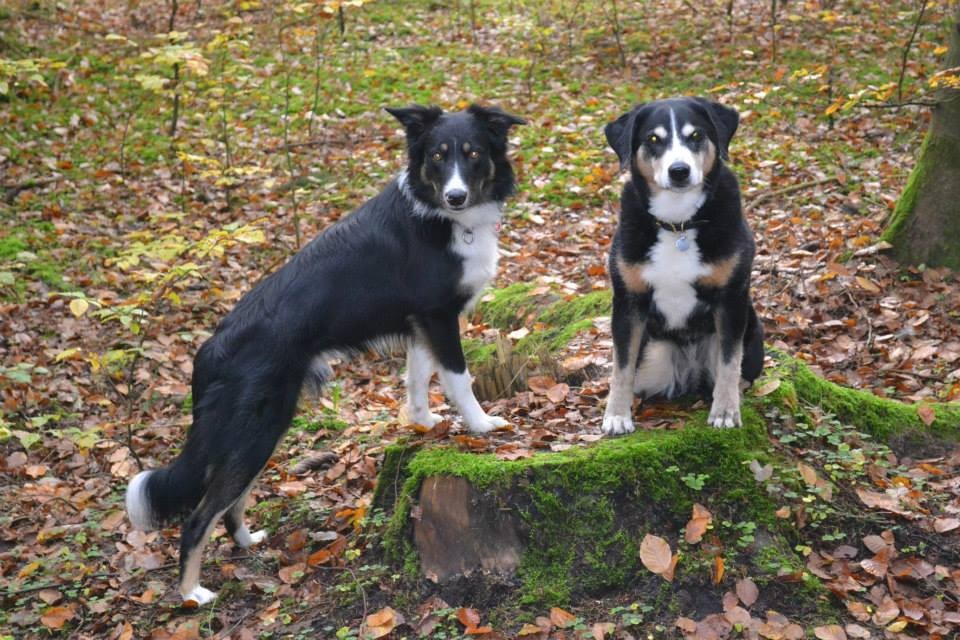 Brax und Terry