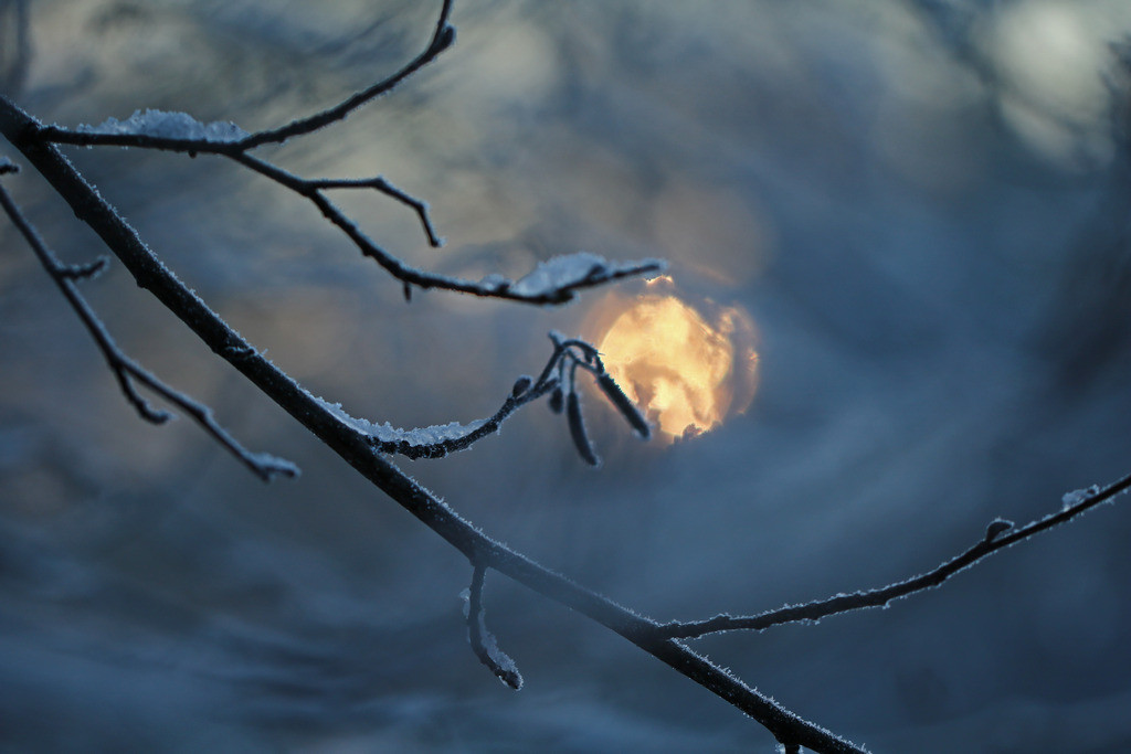 Morgensonne - Elke Riesmeier