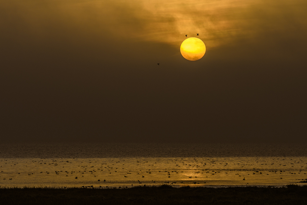 Nordsee mit Saharasand in der Atmosphäre - Michael Greilich