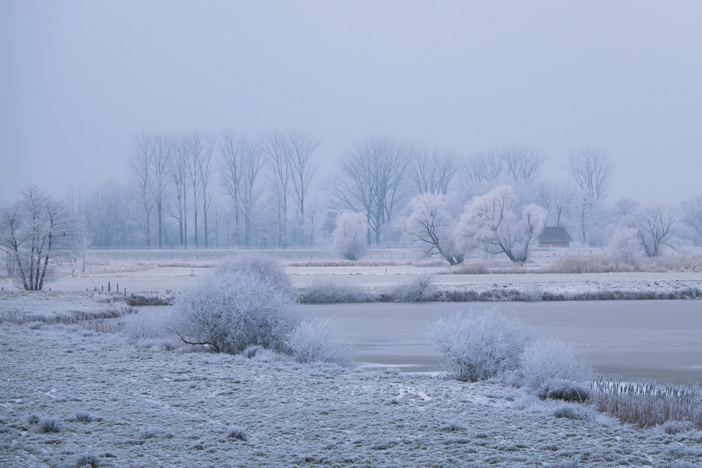 Moorhauser Polder - Roland Zschornack