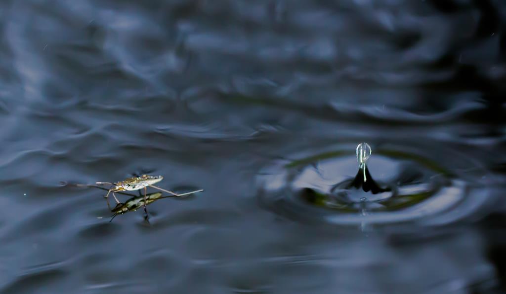 Regenwetter. Ingo Heymer