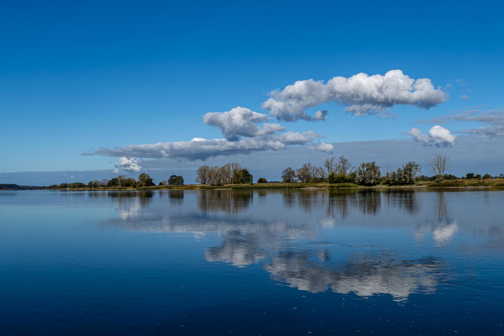 Elbe im Herbstglanz. Annette Pfeifer