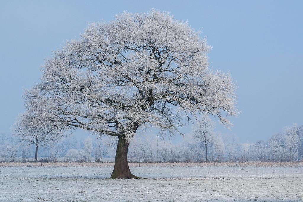 Winter. Klaus-Dieter Haak