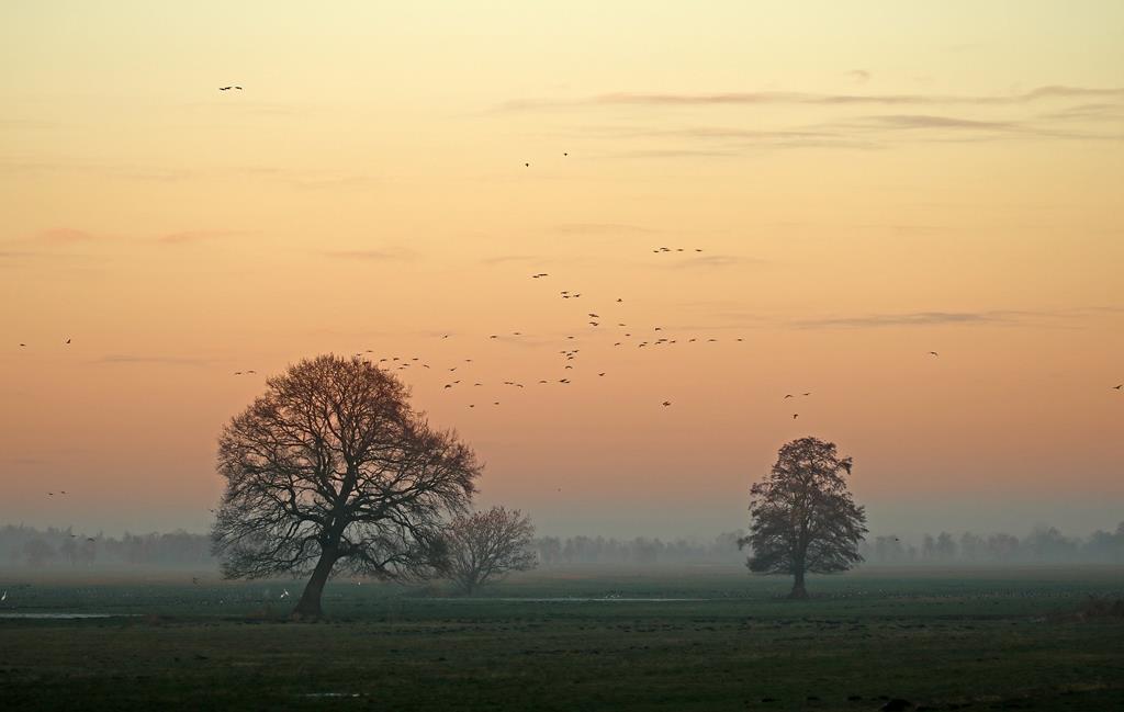 Abendstimmung Bornhorster See - Elke Riesmeier