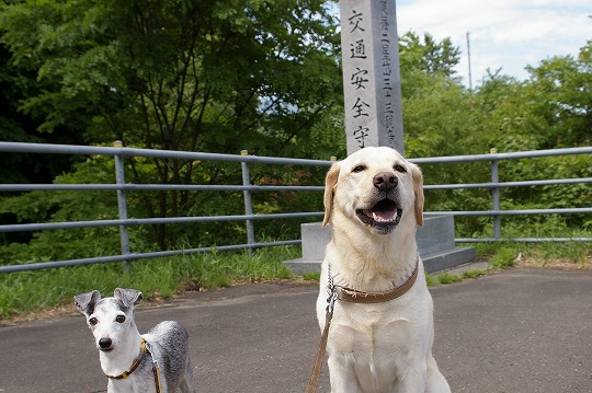 2017年6月27日