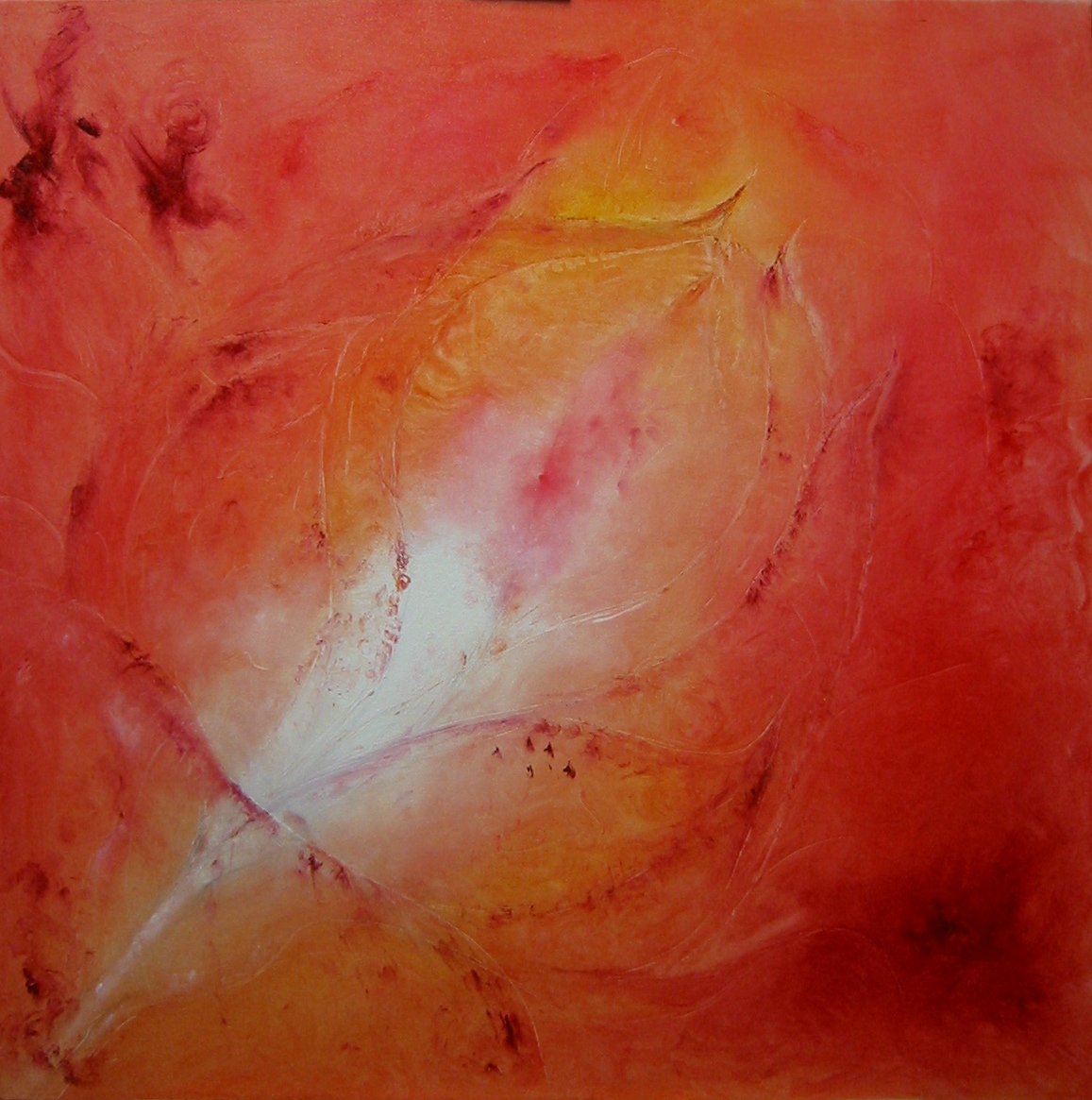 Rose - Insight of Life, 2012, 80 x 80 cm