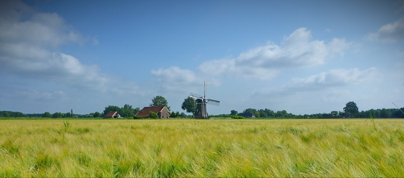 Een poldermolen bij Slochteren