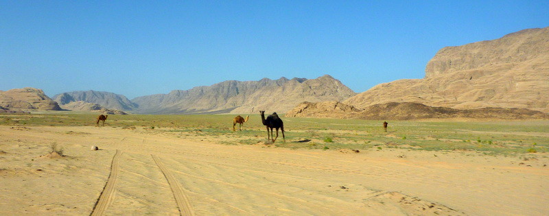 Wadi Rum