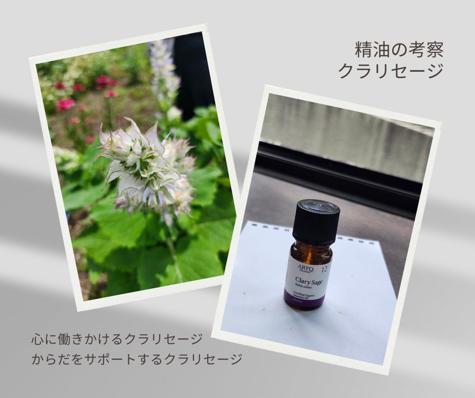 からだにも心にも働きかける精油