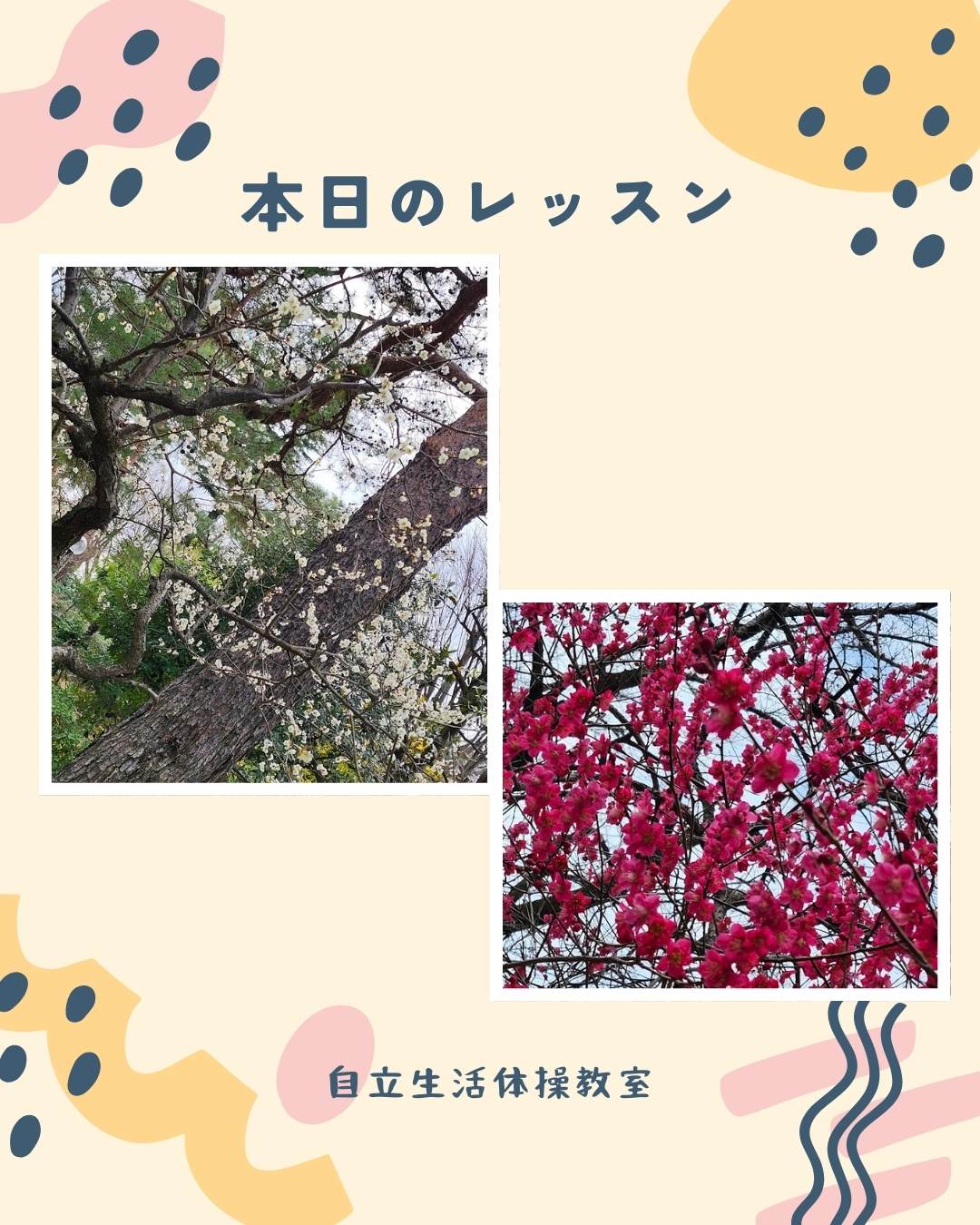 筋肉貯金、ストレッチ貯金していますか