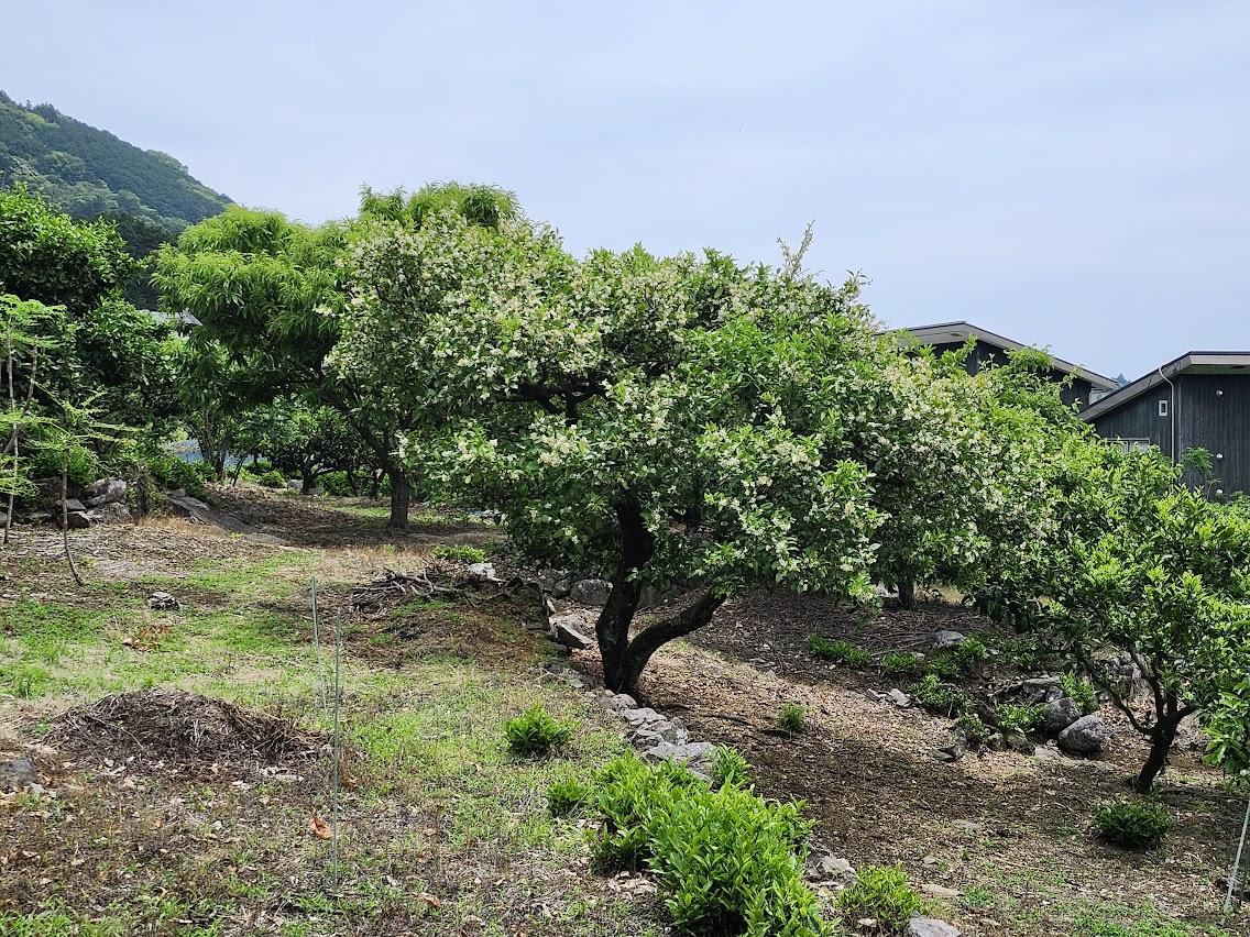 特別な力ではなく継続する力