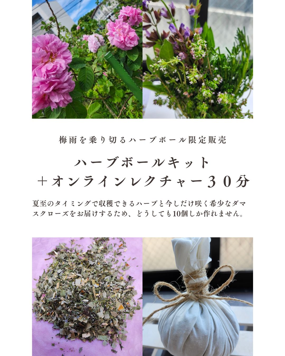 温熱×夏至ハーブのキットハーブボールを限定販売