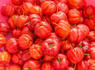 Acerola Kirsche