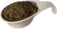 Bio Hanfprotein Pulver