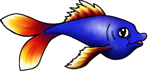 Bild 3: Fisch