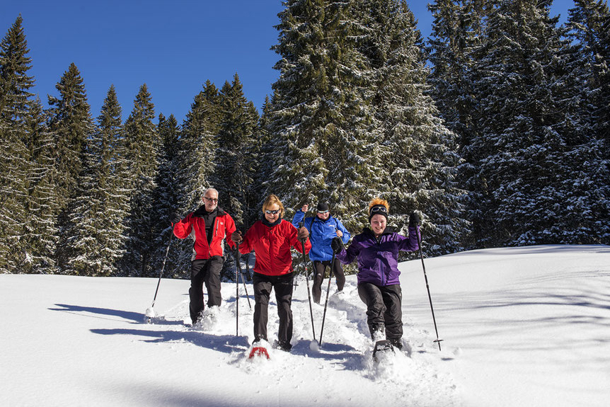 Vermietung Tourenski-, Ski- und Schneeschuhausrüstung