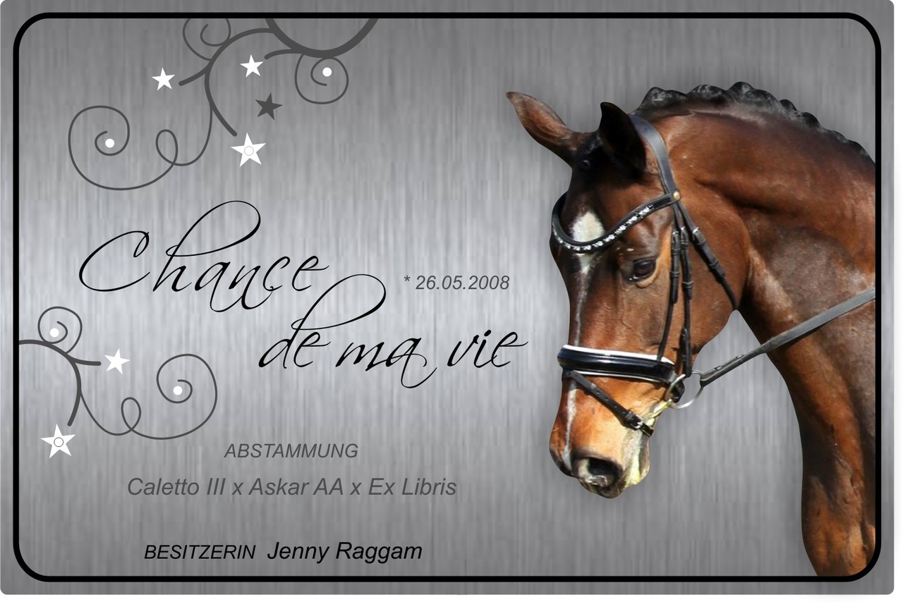 Individuelle Stalltafeln mit Wunschfoto - stallschilds Webseite!