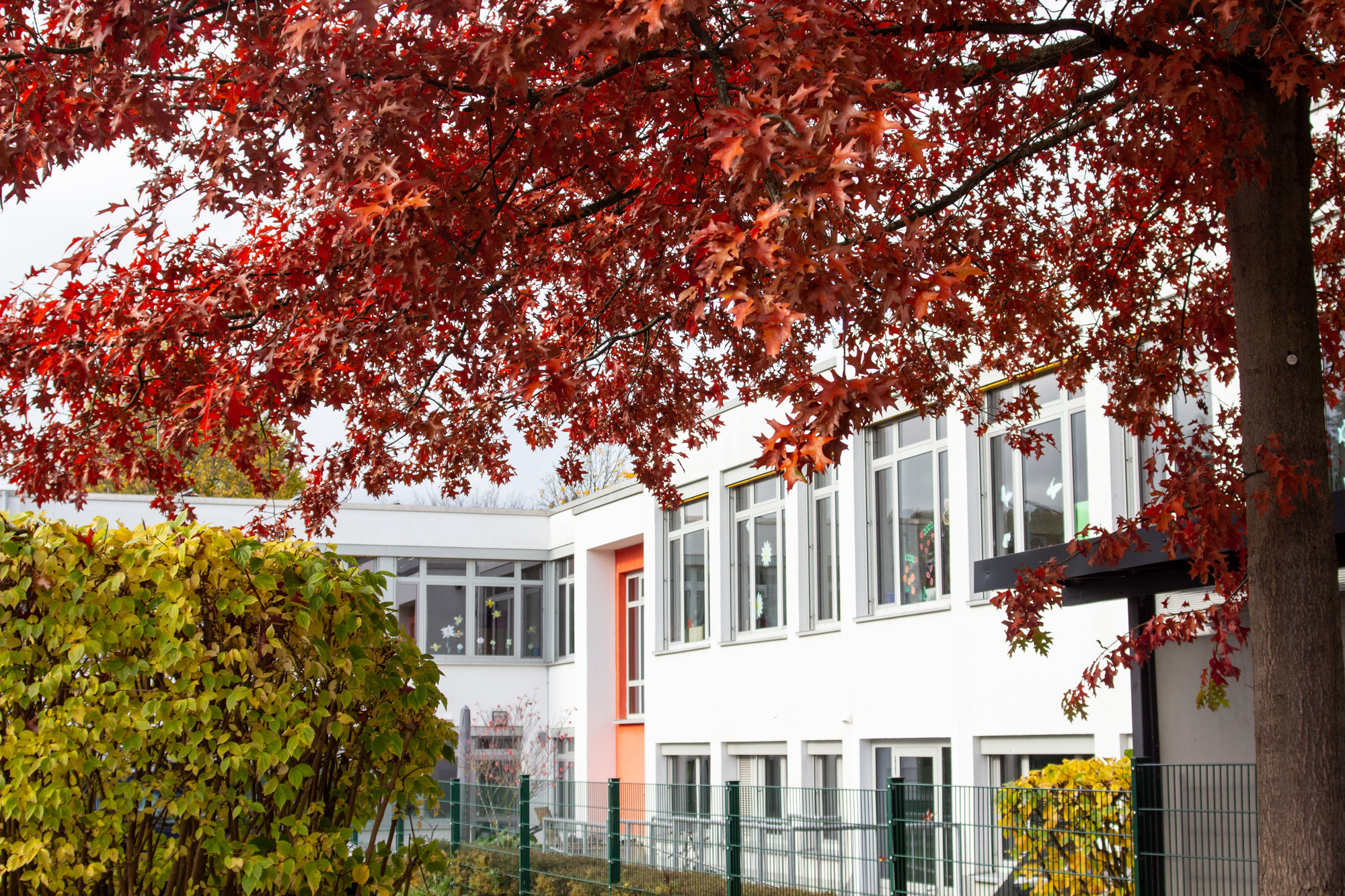 Kontakt - Homepage Schule Rossel