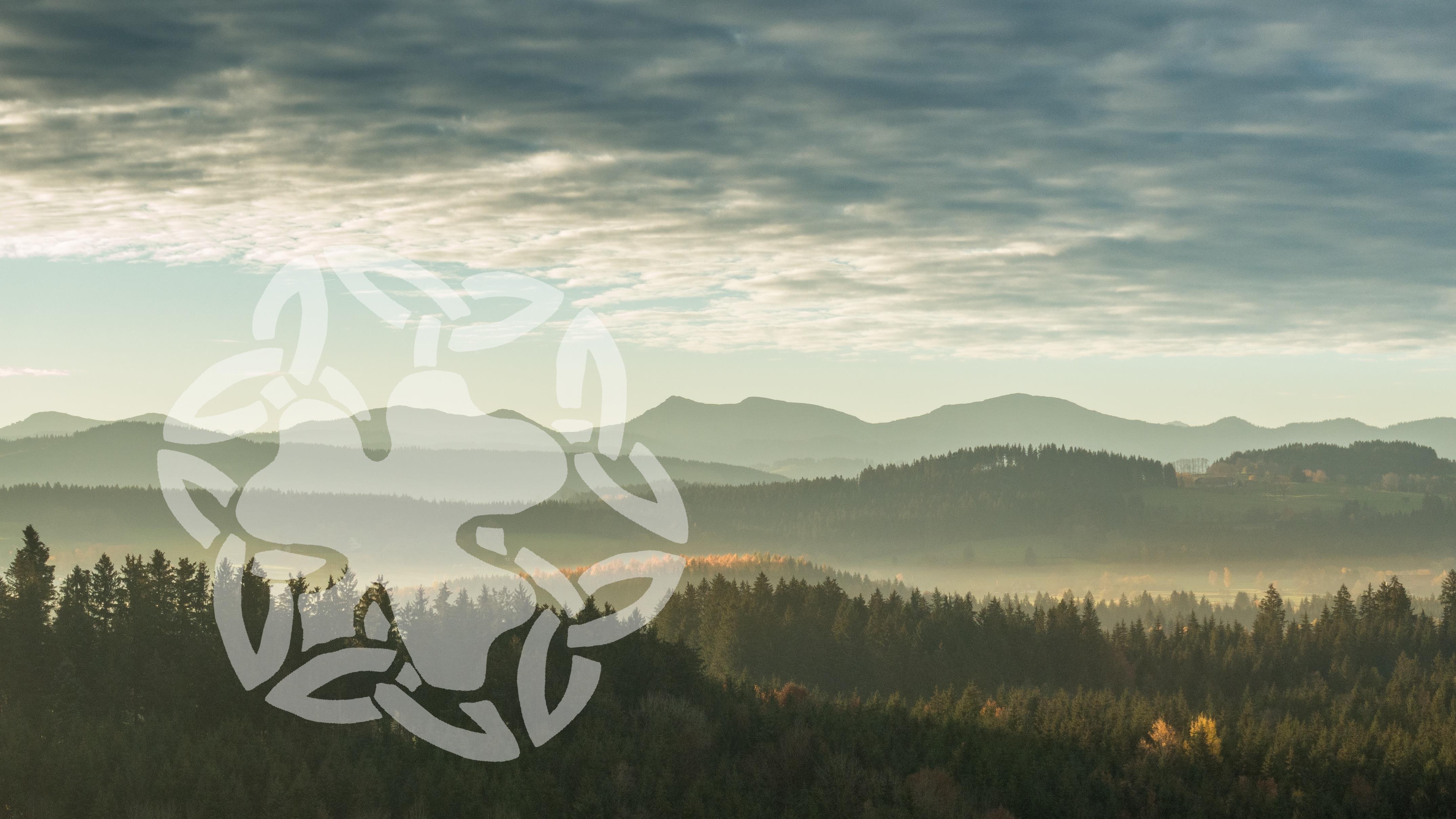 The Foggy Dew The Foggy Dew