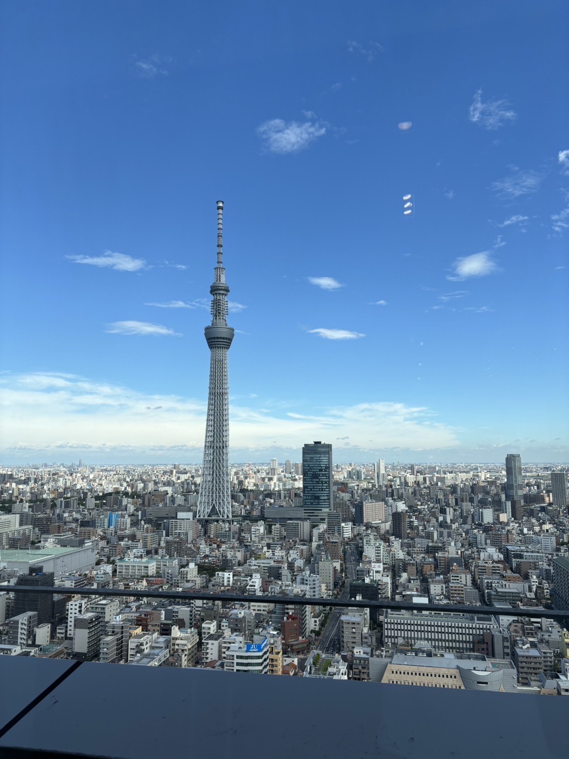 ▶ディベート大会