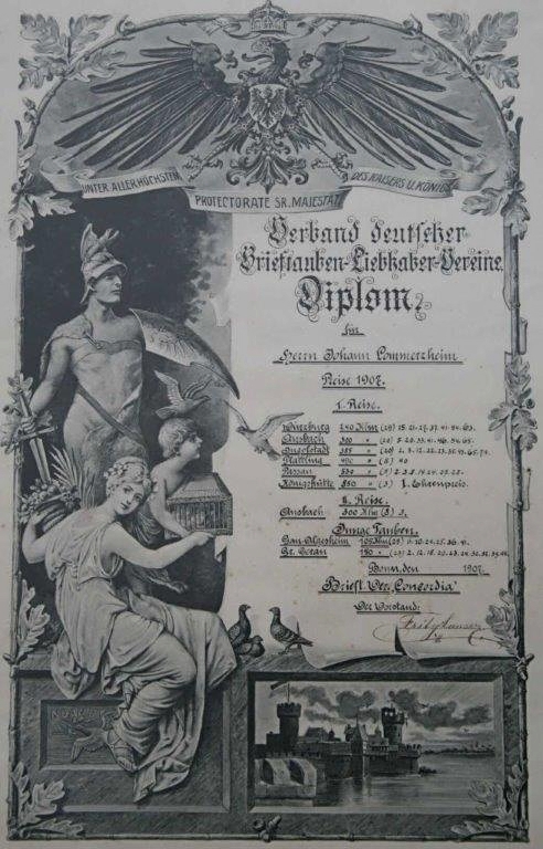 Diplom des Verbandes dt. Brieftauben-Liebhaber-Vereine aus dem Jahr 1907