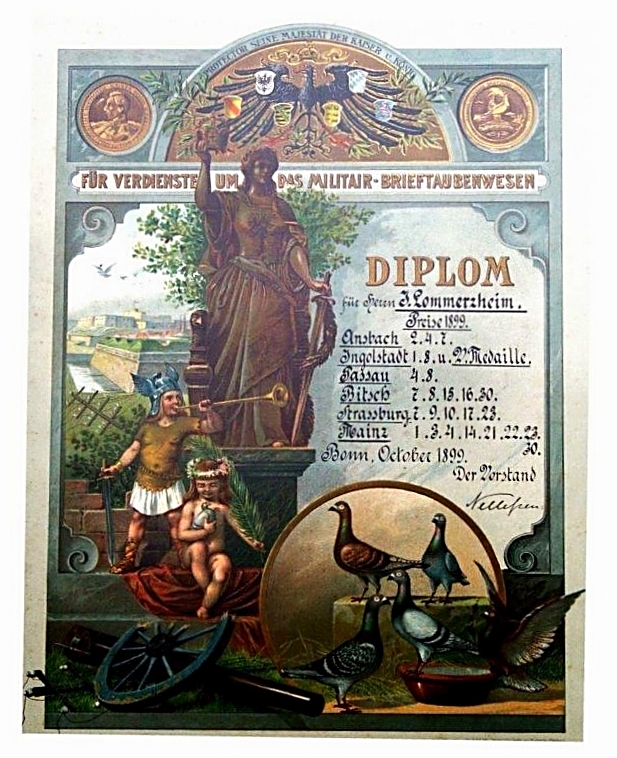 Diplom für Verdienste um das Militär-Brieftaubenwesen aus dem Jahr 1899