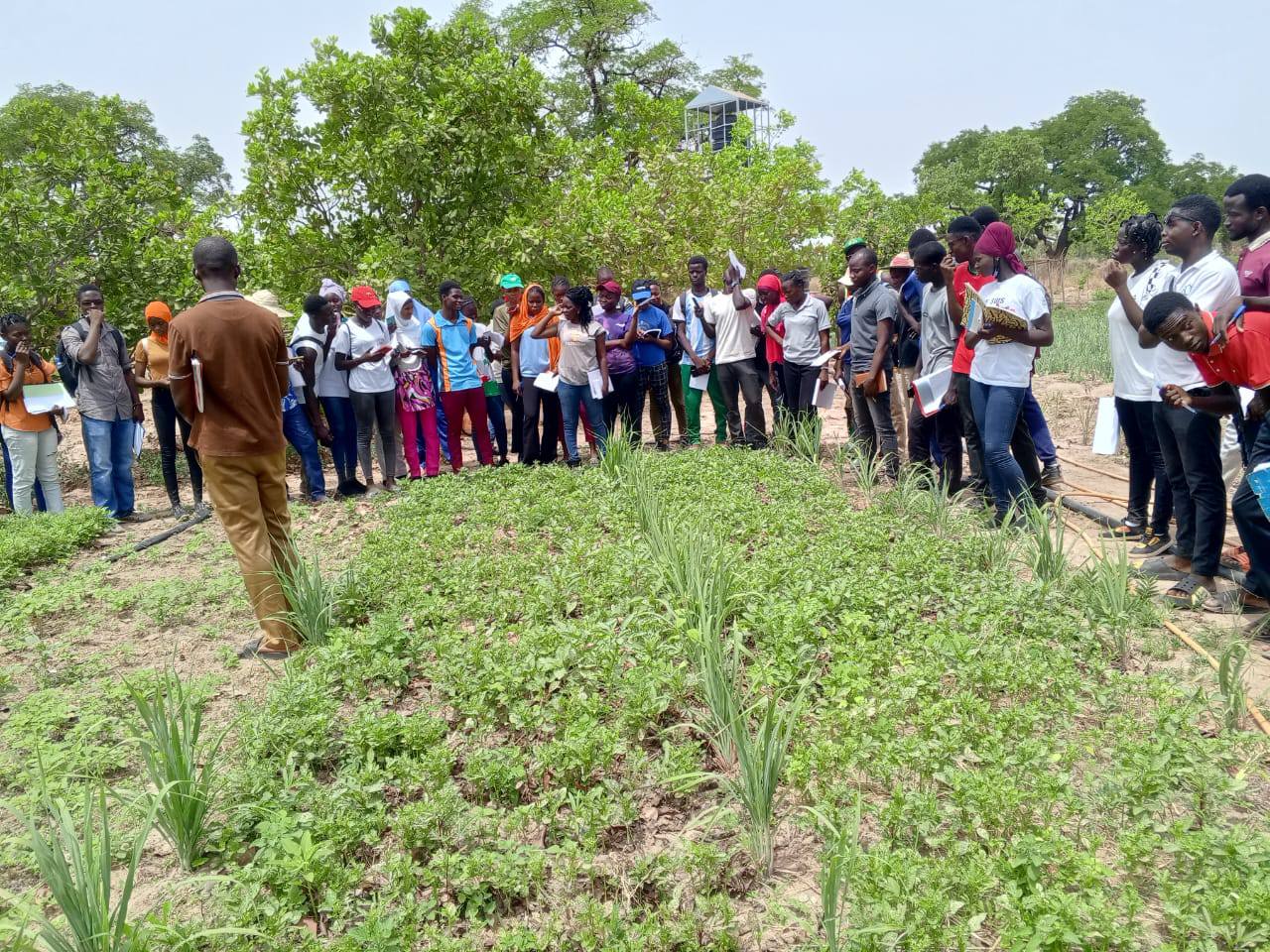#Bioprotect accueille 200 étudiants du Centre Universitaire de Ziniaré pour une immersion en agroécologie