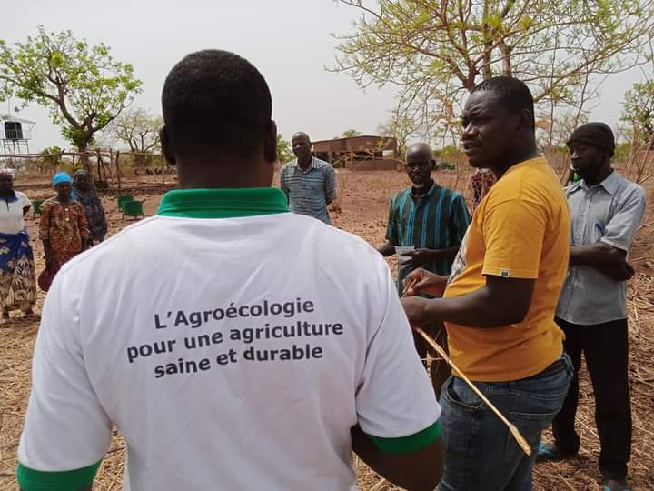 Production écologique Biologique : Le CNABio apporte la bonne information à l'Union Nanglobzanga de Loumbila