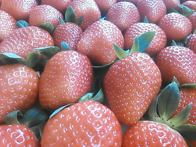 「Nonhoi Strawberry」２