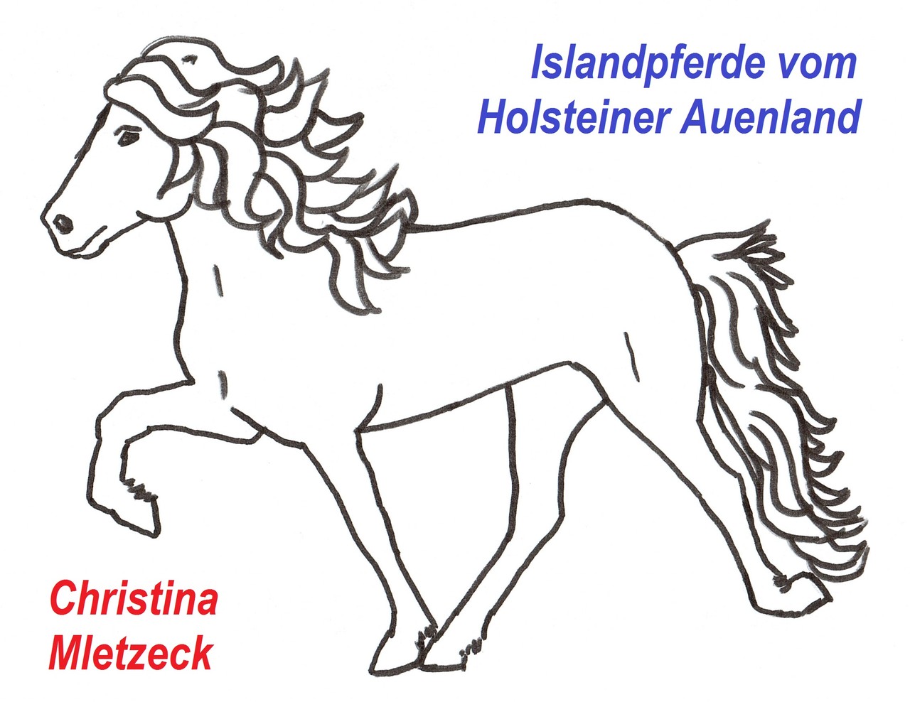 Lieblingsseiten Traumfänger aus HufeisenGlücksbringer Lieblingsseiten Traumfänger aus HufeisenGlücksbringer