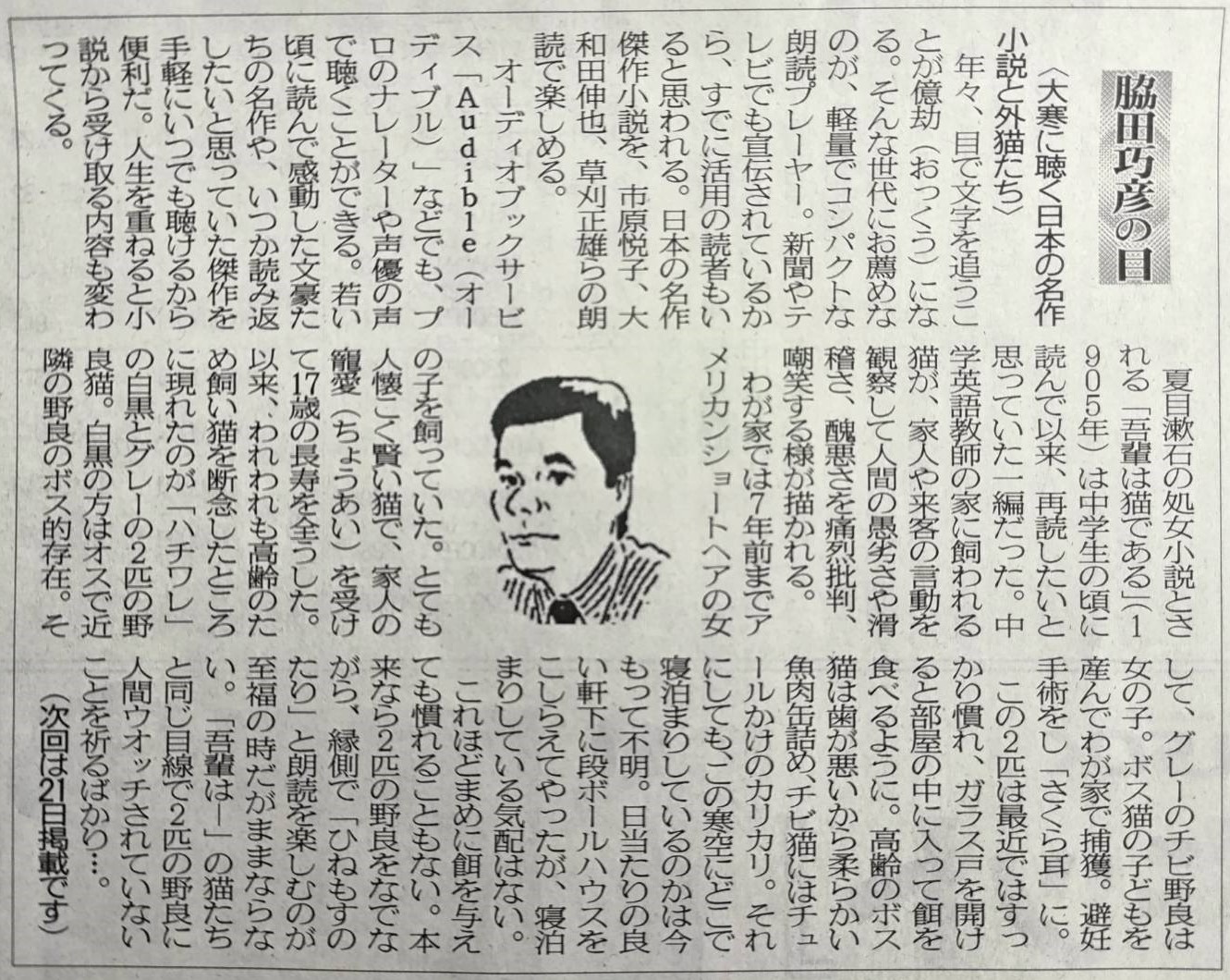 ２０２６年２月７日　大寒に聞く日本の名作小説と外猫たち