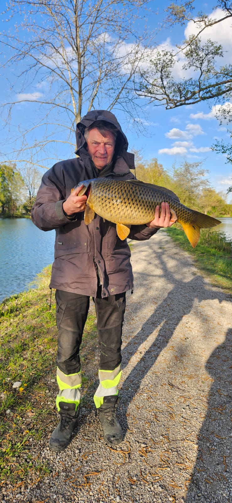 Schuppenkarpfen 78cm 8,4 kg 