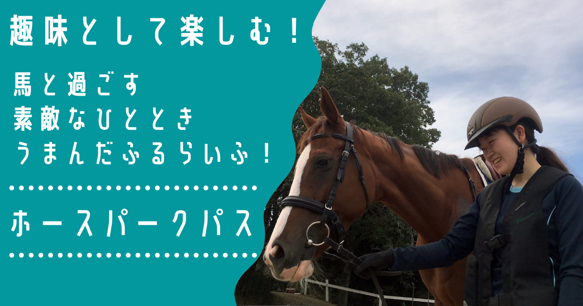 さぁ 一緒に乗馬を楽しみましょう ページ
