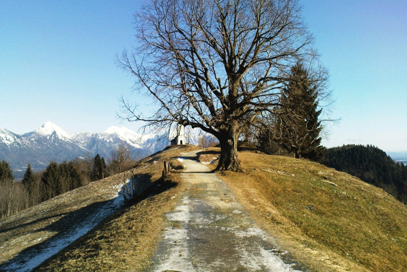 Wonderful Day Trips from Kranj - Jamnik