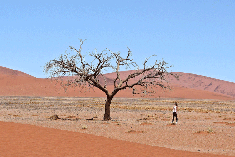 2 Wochen in Namibia - Deine ultimative Reiseroute