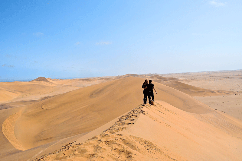 2 Weeks in Namibia - Your Ultimate Itinerary - Dune 7