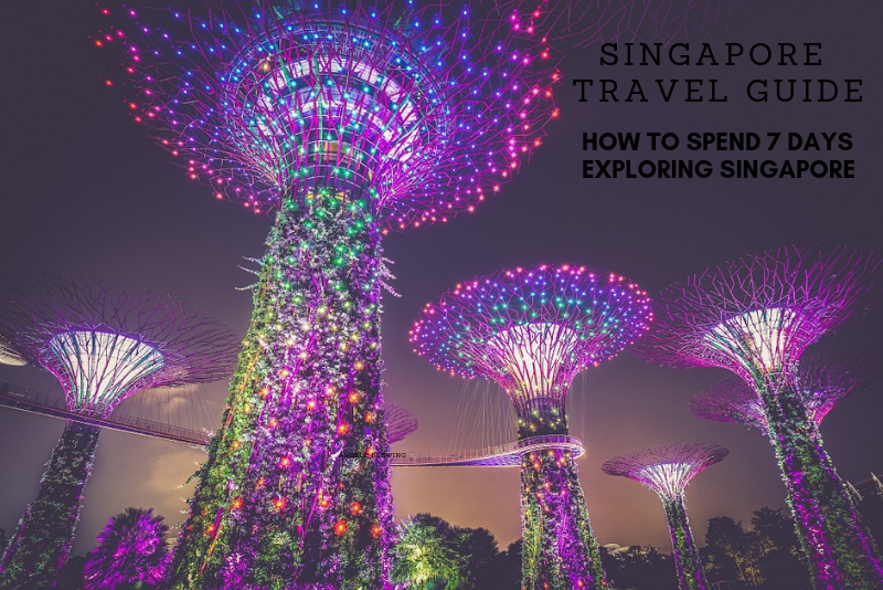 singapore trip for 7 days