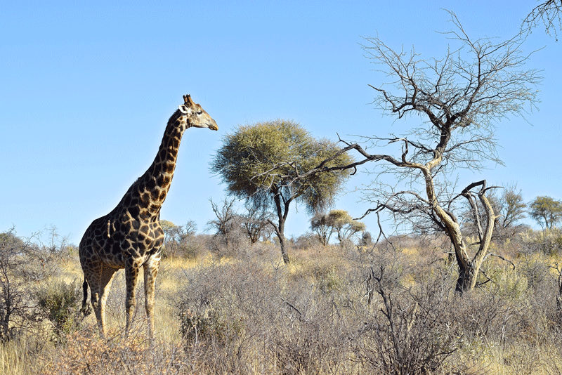 2 Wochen in Namibia - Deine ultimative Reiseroute